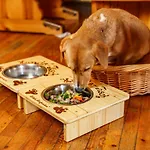 호텔 Almfrieden & Romantikchalet 4*