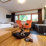 Almfrieden & Romantikchalet 4* 람자우 암 다흐스타인
