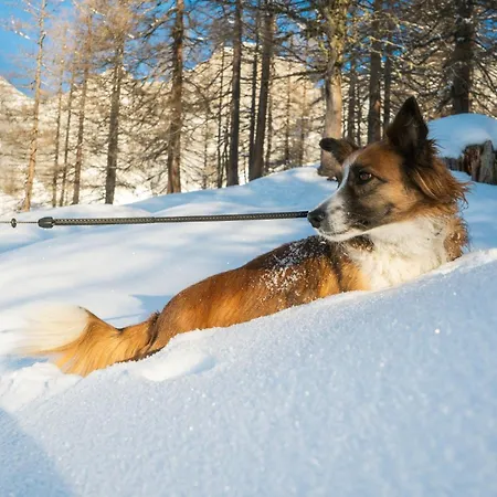 Hotel Almfrieden & Romantikchalet Ramsau am Dachstein