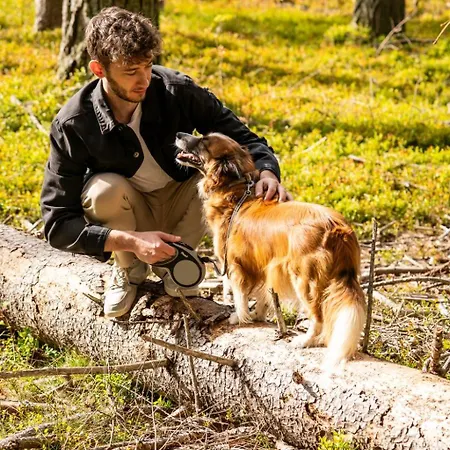 Almfrieden & Romantikchalet 4* Ramsau am Dachstein