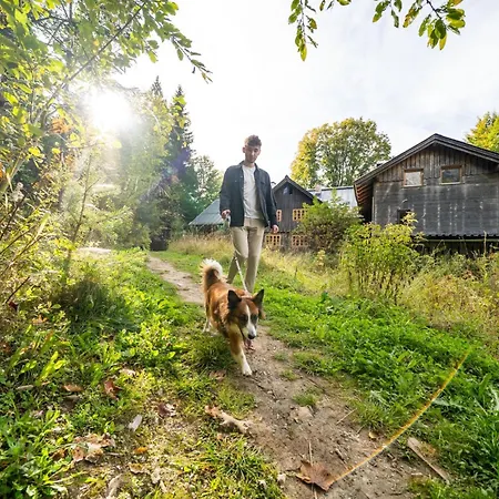 Almfrieden & Romantikchalet Ramsau am Dachstein