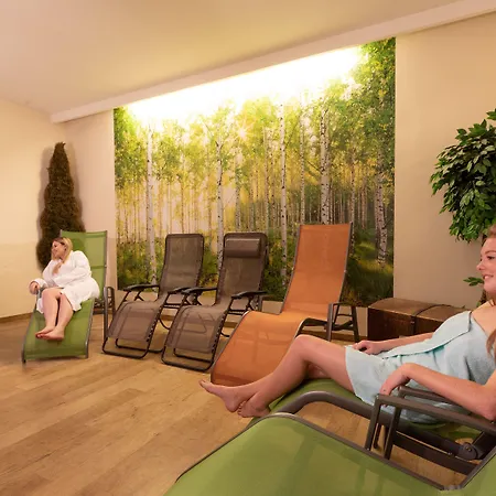 Almfrieden & Romantikchalet 4* רמסאו אם דכשטיין