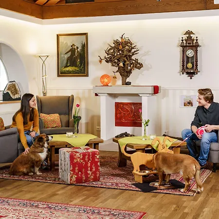 Almfrieden & Romantikchalet מלון רמסאו אם דכשטיין