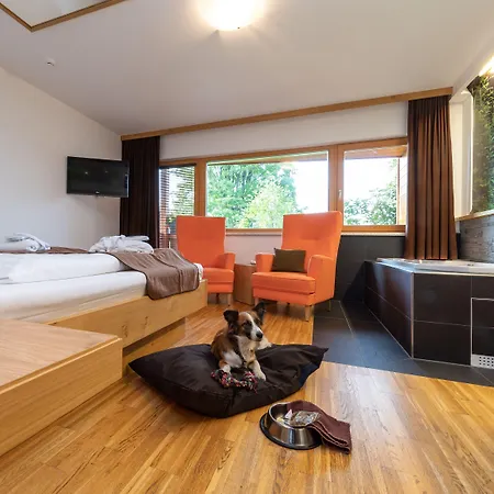 Almfrieden & Romantikchalet 4* רמסאו אם דכשטיין