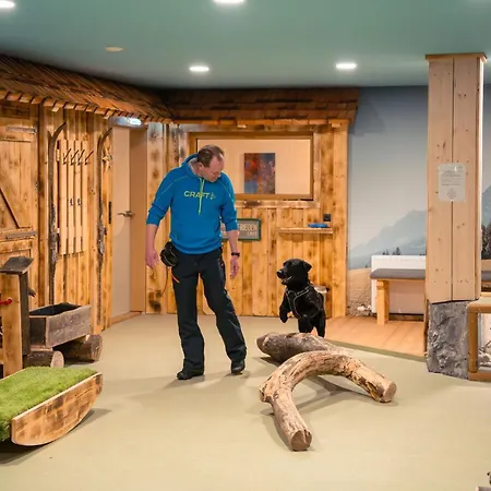 Almfrieden & Romantikchalet 4* Ramsau am Dachstein