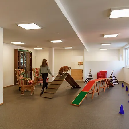 Almfrieden & Romantikchalet רמסאו אם דכשטיין
