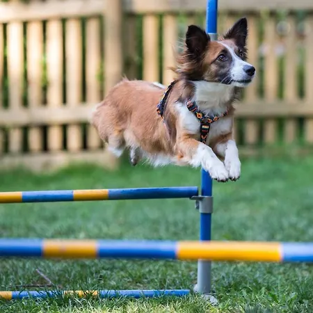 Almfrieden & Romantikchalet Hotell Ramsau am Dachstein