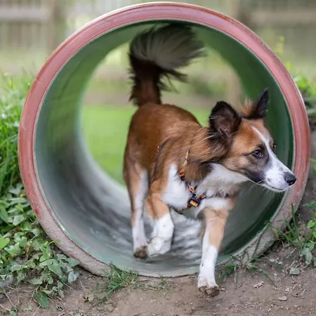 Almfrieden & Romantikchalet 4*