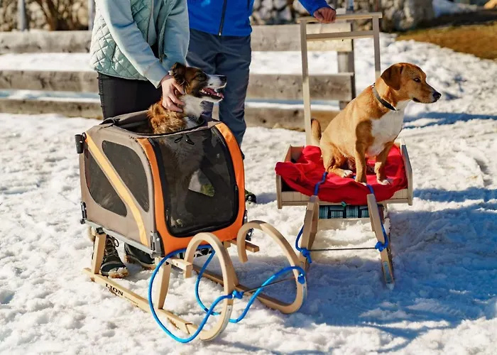 Almfrieden & Romantikchalet Hotel