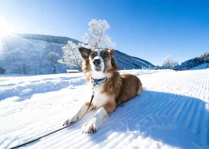Hotel Almfrieden & Romantikchalet Ramsau am Dachstein