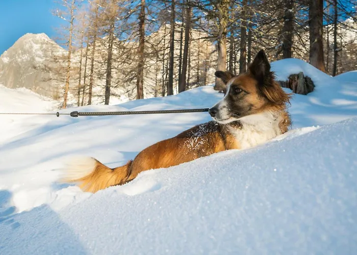 Hotel Almfrieden & Romantikchalet Ramsau am Dachstein