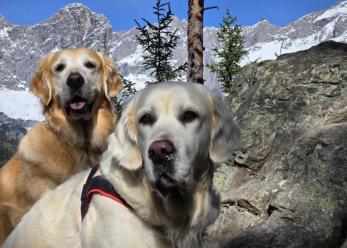 Almfrieden & Romantikchalet 4* Ramsau am Dachstein