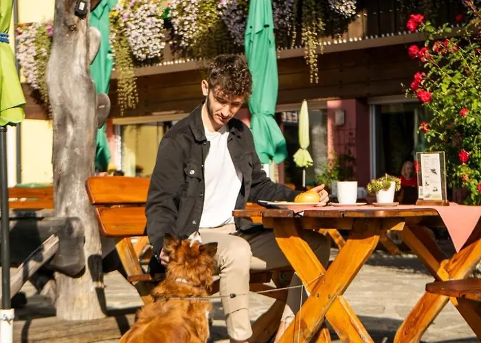 Almfrieden & Romantikchalet Hotel Ramsau am Dachstein