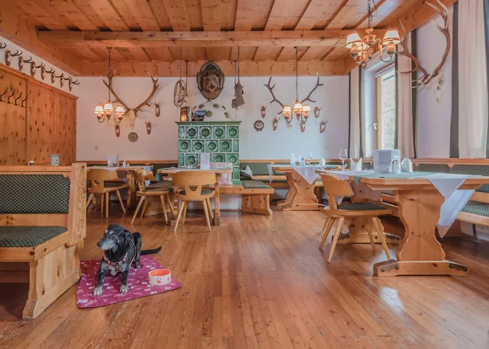 Hotel Almfrieden & Romantikchalet