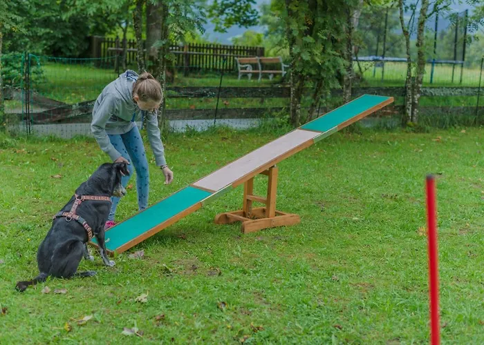 מלון Almfrieden & Romantikchalet רמסאו אם דכשטיין