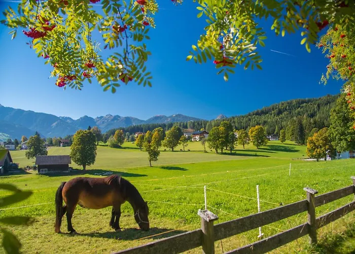 Almfrieden & Romantikchalet מלון