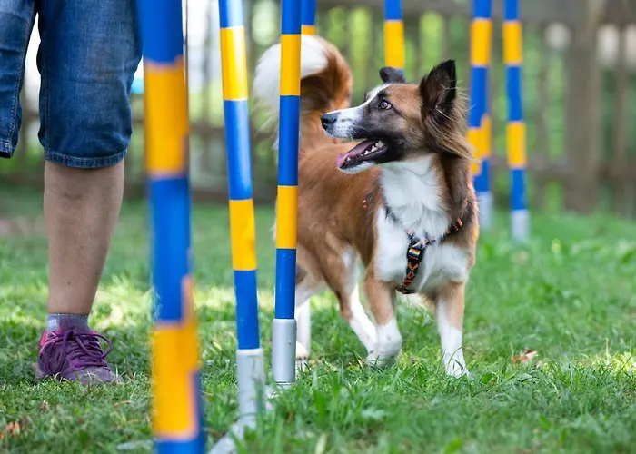 מלון Almfrieden & Romantikchalet 4*