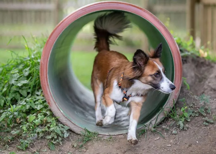 Almfrieden Hotel&romantikchalet 4*